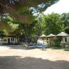 Un'area con sedie a sdraio e ombrelloni in un ambiente naturale.