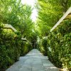 Viale alberato con siepi laterali.