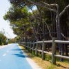 Strada ciclabile blu tra alberi e lampioni.