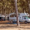 Un camper parcheggiato in un bosco di pini.