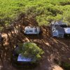 Piazzole per camper tra alberi in una pineta ombreggiata.