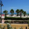 Spiaggia con palme, ombrelloni e vista sul mare in una giornata soleggiata.