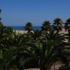 Palme con spiaggia e mare blu sullo sfondo.
