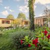 Case gialle tra fiori rossi e alberi verdi.